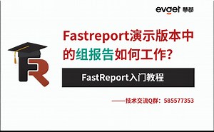 Fastreport演示版本中的组报告如何工作