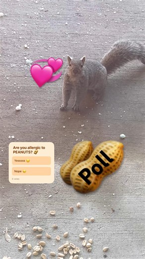 Anaphylactic 💥Shock .edu