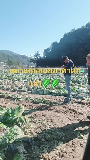 เจ็บใจคัก