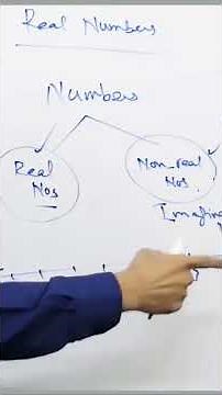 Real Numbers #realnumbers #numbersystem #number #numbers