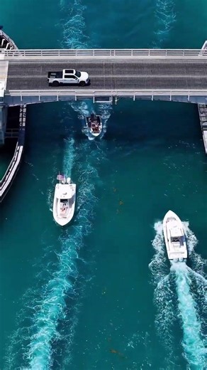 Summer in The Palm Beaches