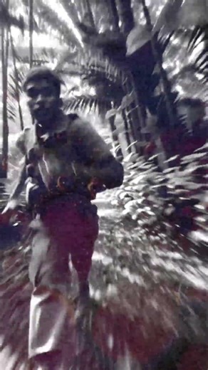 Run Through the Jungle, featured on CCR's 4/20 Jams compilation