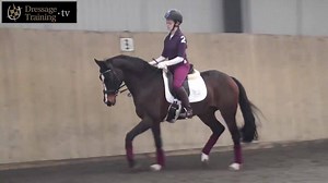 On of the big repeating points within our 'How of Riding' course is that of tone, core strength and stability. Here in this snippet of the rising trot lesson just released, you see Milly demonstrate on her big moving mare how lack of tone & too much relaxation leads to loss of stability and control. You can easily see the difference between the two even though Milly still finds this mare very big moving and has a lot of work yet to do. Join us on the link above to learn how you can be a more sta