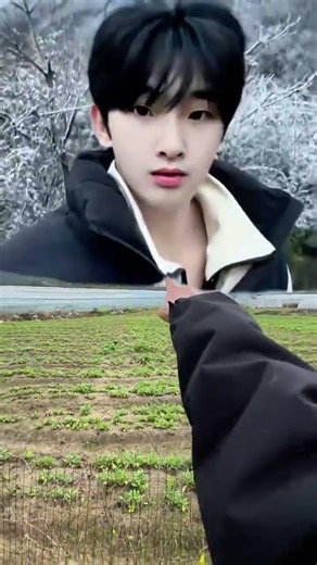 A sunny day in half a village, spring birds and plum blossoms in Wuyanjiao, mobile phone photogr