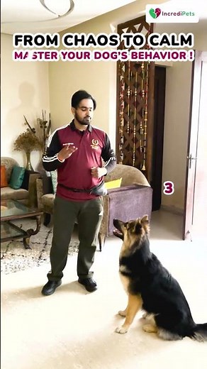 BOOK A FREE DOG TRAINING DEMO AT HOME!😍