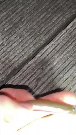 アダルトグッズ