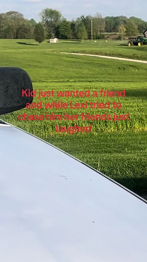 Bite the Curb: A Heartbreaking Moment of Bullying