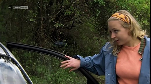 Hinterholz 8 Trailer