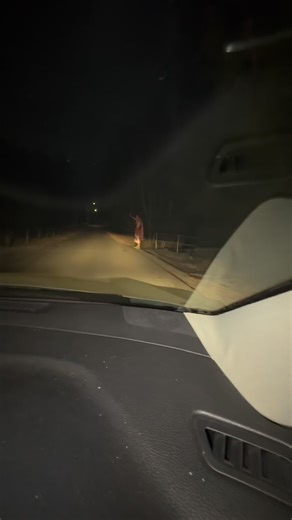 lil golo | bros been stuck in this emote the whole game | Instagram