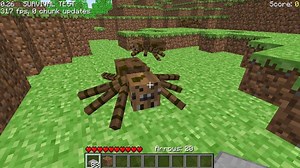 5 things players didn't know about the Survival Test in Minecraft