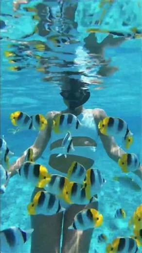 There’s a Hidden World Beneath the Ocean 🌎 #UnderwaterWorld #Snorkeling #oceanlife