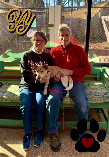 1.4K views · 194 reactions | Our first adoption for 2024!! Kimber went to her forever home!! Thank you to all of our adopters and supporters! Save More in 2024!! ❤️❤️❤️ | Mostly Mutts Animal Rescue | Facebook