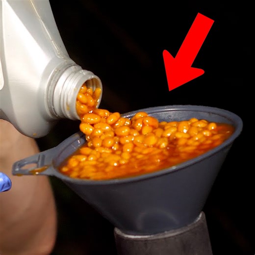 Can a Motorcycle run on BEANS? | The Backyard Scientist