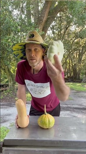 So many kinds of Squash! Which is your favorites to grow and eat? Yellow crookneck squash might be