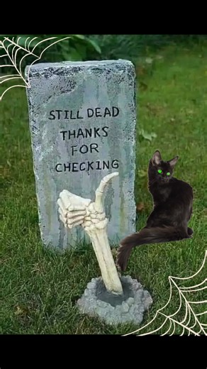 11 reactions |  | Celebrating Halloween | Facebook