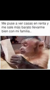 Neris Herrera on Reels