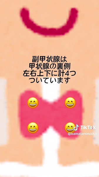 1分でわかる副甲状腺の重要性