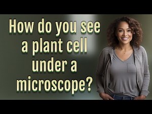 How do you see a plant cell under a microscope?