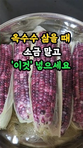 🌱옥수수 삶을 때 소금 말고 '이거 ' 넣으세요! #음식정보 #옥수수삶는방법 #다시마 #추천