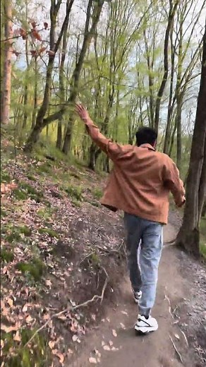 Hiking Through a Magical German Forest 🌲✨ | 4K Nature Walk