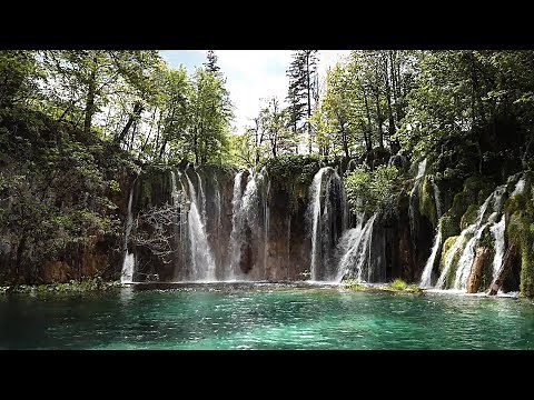 Peaceful Relaxing Instrumental Music: "Nature's Songs" by Tim Janis