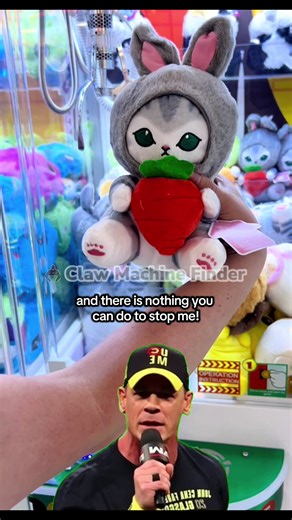 My mood once I’ve gotten my heart set on taking home a particular claw machine prize… #greenscreen #meme #clawmachine #clawmachines #imtakingthishomewithme