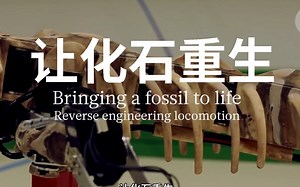 2.8亿年前的化石（生前）是怎么跑路的