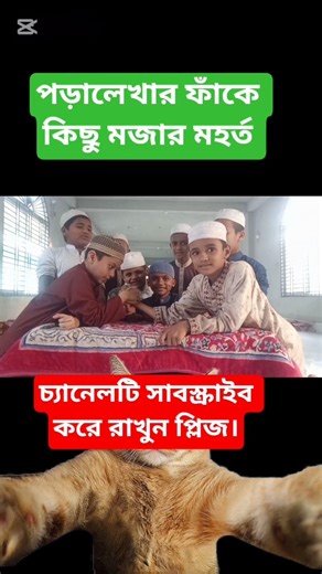 পড়ালেখা মাঝে কিছু মজার মুহর্ত #downlaod #dj #facts #motivation #duet #viralsong