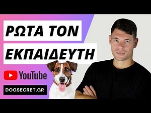 Πώς να σταματήσει ο σκύλος μου να πηδάει πάνω στον κόσμο και άλλες απορίες - Ρώτα τον Εκπαιδευτή 04