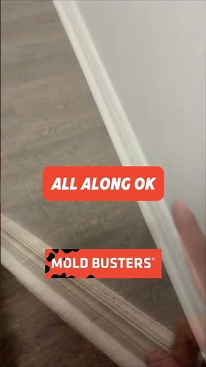 Mold In the Bedroom Free Virtual Inspection