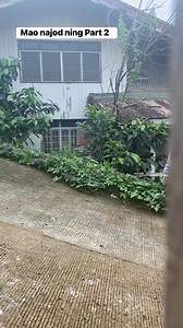 5.3K reactions · 86 shares | To all my followers your wish is my command Part 2 | Kim Sarona Perez | Facebook