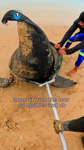 Seal Rescue Patrol Update #ocn #oceanconservation #sealrescues #plasticpollution #raisingawareness | Ocean Conservation Namibia