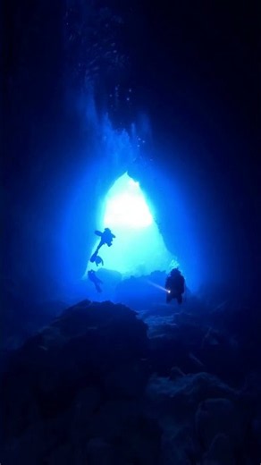 Why Everything in the Deep Ocean is Terrifyingly Huge #marinebiology #sciencedocumentary #biology