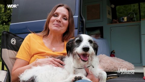 Tiere suchen ein Zuhause: Tiere suchen ein Zuhause vom 25.08.2024