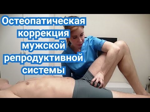 Остеопатическая коррекция мужской репродуктивной системы. Восстановление чувствительности и оргазма.