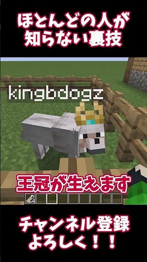 [Minecraft] Introducing the "name tag trick" that most people don't know about! #shorts #Minecraf...