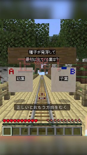 クラフトプラス【マイクラ教育版】 on Instagram: "種子が発芽して最初に出てくる葉は？ #教育版マインクラフト #マイクラ学習 #マイクラ #トロッコアドベンチャー #ゲーム"