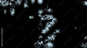 Freezing and winter overlay, frost layer and ice over freeze effect covering black background, snowflakes grow and cover surface, frozen snow VFX transition for Christmas and wintertime holiday design
