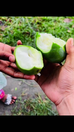 The plens🥭🍑@YEASIN_BEPARI #ভাইরাল_ভিডিওকপি_লিংক_করো_প্লিজ_প্লিজ #tiktokvairalvideo😘😘 @TikTok Bangladesh