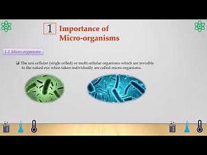 Science | Grade 8 | Lesson 1 Short Notes