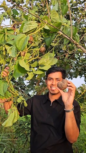 Sadik mulani | Chef on Instagram: "Healthier Aloo Tikki Chaat – a guilt-free twist on your favorite street food! 🍽️ Made with air potato, not regular potatoes, and cooked using Salford ceramic cookware for a healthier touch. Perfect for those who crave flavor and care about what goes into their body. Ingredients For Tikki 1. 500g air potato 2. 2tbsp rice flour 3. Salt as per taste 4. 2tbsp water For tamarind Chutney 1. 1 cup tamarind pulp 2. 1/2 cup jaggery 3. 1tsp red chilli powder 4. 1tsp cum