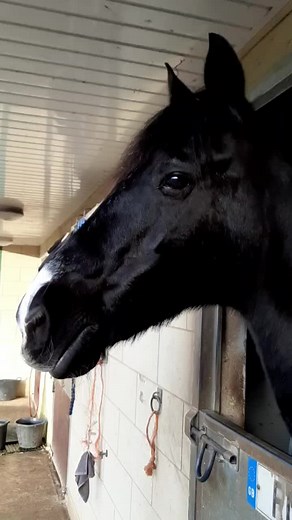 Andrea Cox on TikTok