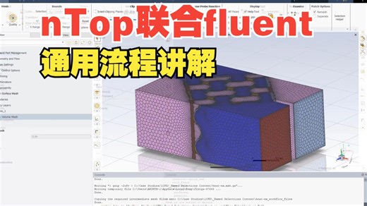 nTop联合Fluent通用流程讲解