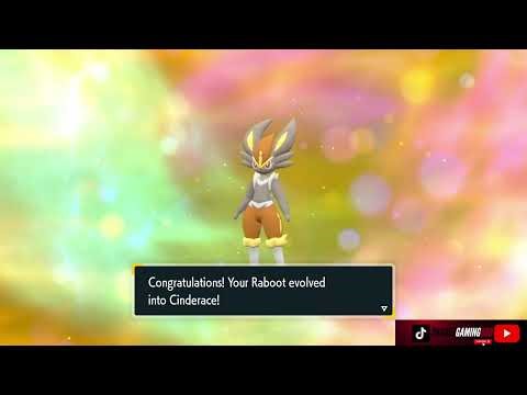 Shiny Raboot Evolves Into Shiny Cinderace Pokémon Violet The Indigo Disk DLC