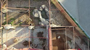 A tiger in a zoo. Tiger in captivity in the zoo in a cage, aviary. Amur, Turanian, Bengal tiger in a cage in a zoo. Aerial drone photography from the height of the tiger.