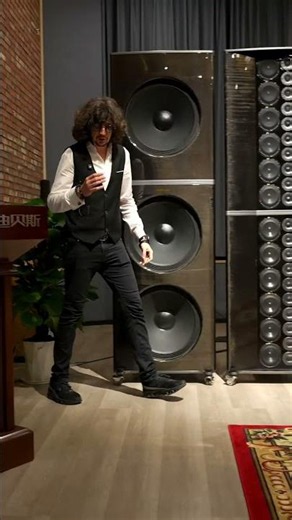 What's the point of putting 100 drivers into speakers for 10 million? #audiophile