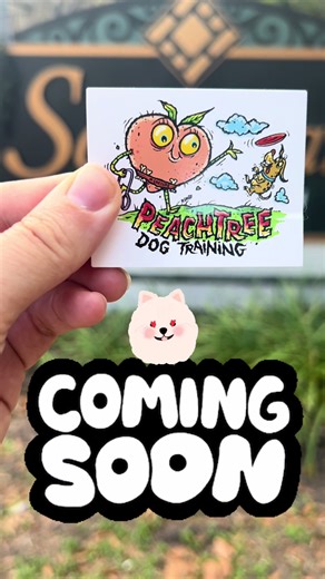 Look out #Savannah, we’re bringing some amazing dog training your way! 🎉 . #savannahga #dogtraining #savannahdogs #sav