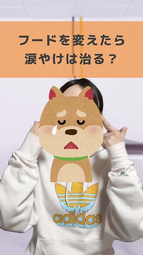 涙やけを改善する犬の食事法