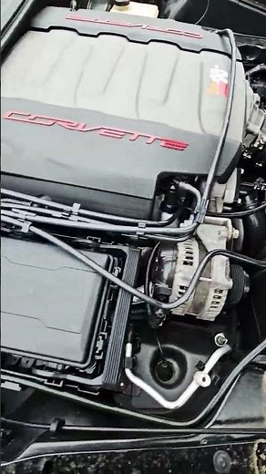 In-Depth Tour of the 2019 Chevy Corvette "GRAND SPORT" 🏁 Loud Revs 🇺🇸 💪🏿