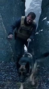 235K views · 1.8K reactions | "1,460 Days Gone: The Stray Dog Who...